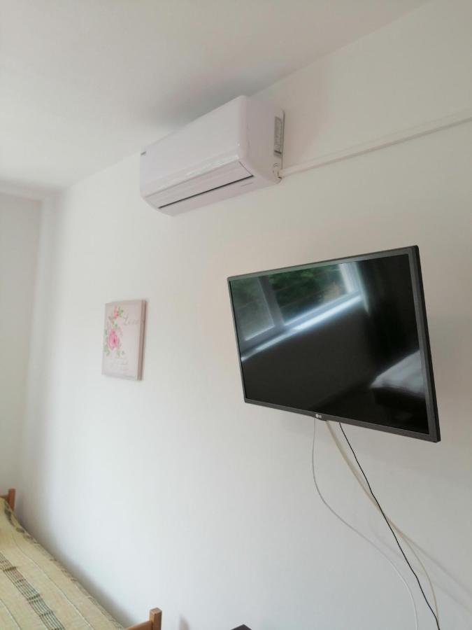 Apartment Branka *