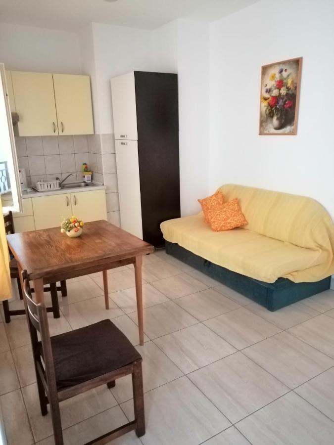 Apartment Branka *