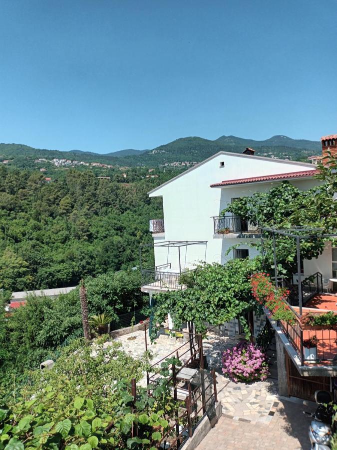 Apartment Branka