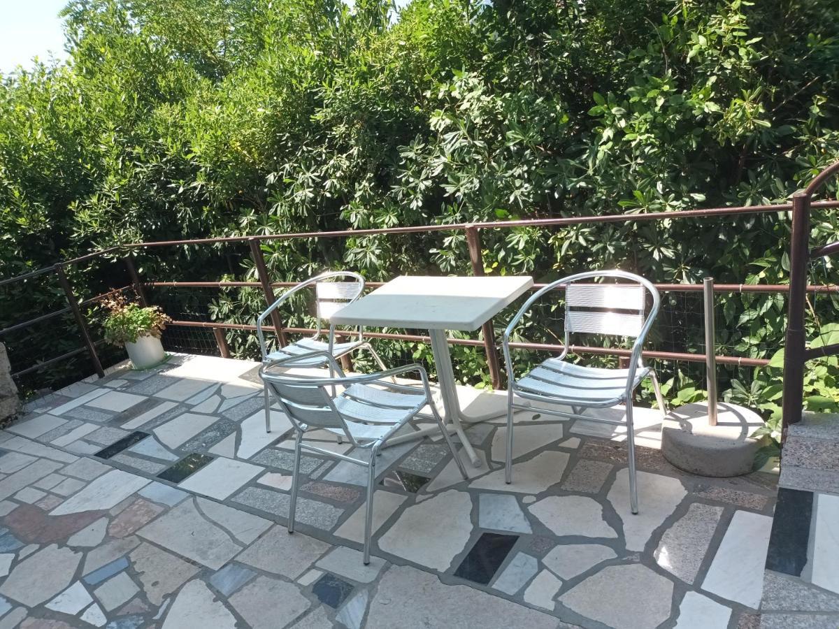 Apartment Branka *
