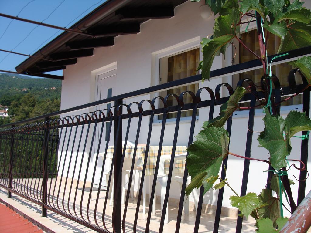 Apartment Branka Ika
