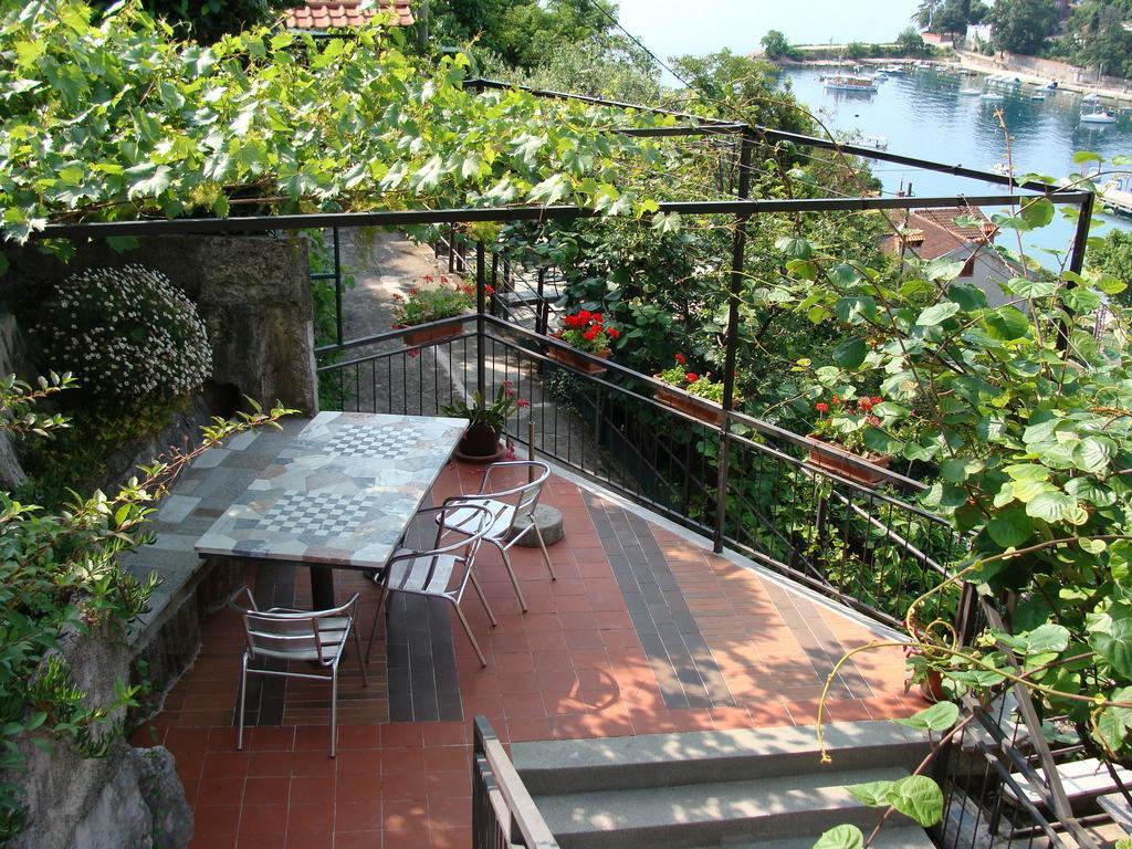 Apartment Branka *