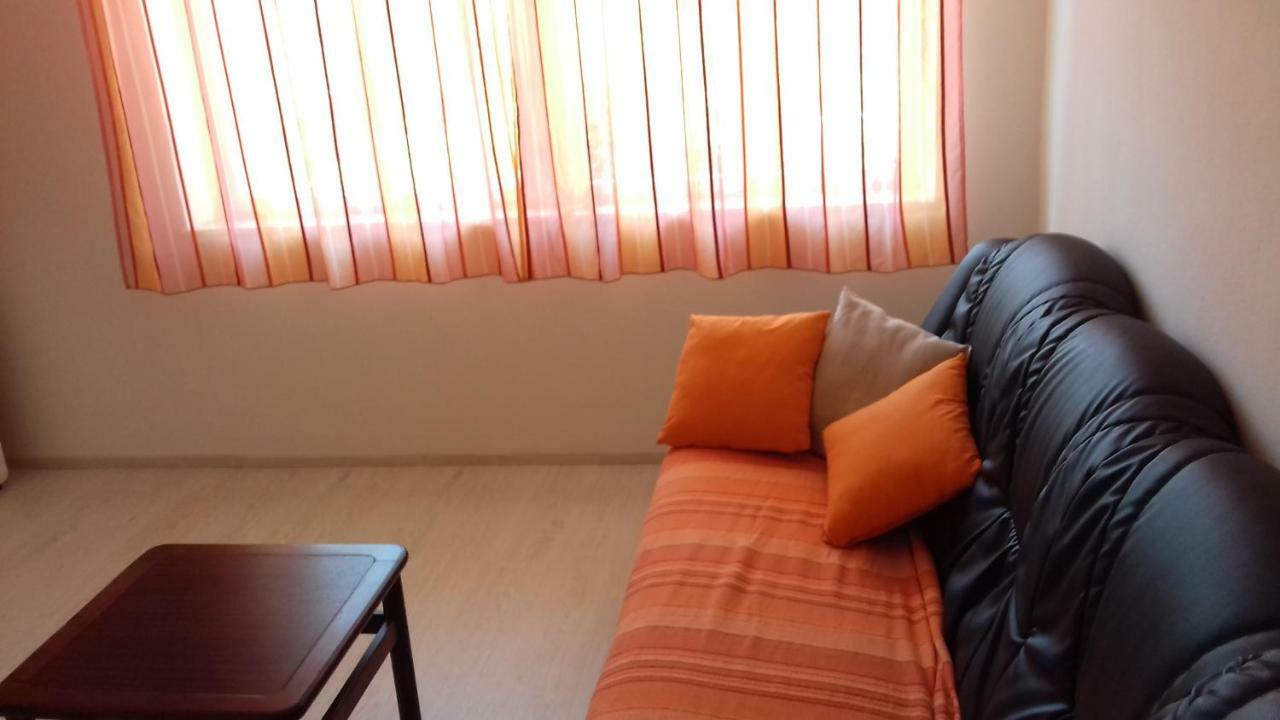 Apartment Branka