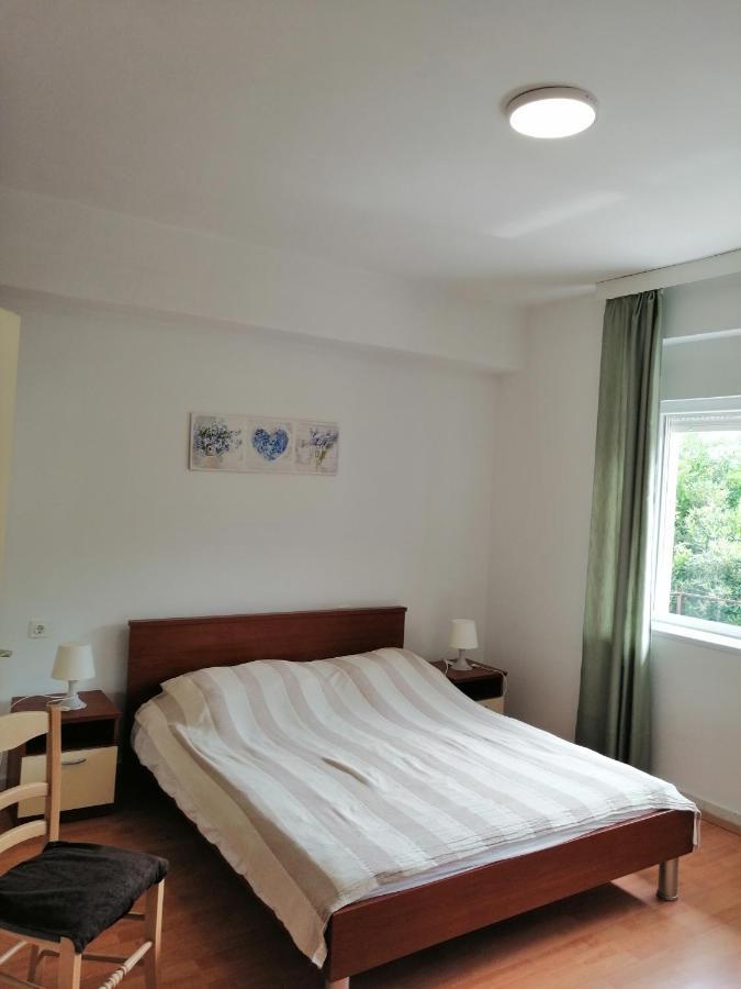 Apartment Branka *